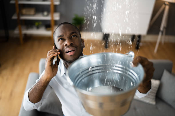 Professional Water damage restoration in East Basin, UT