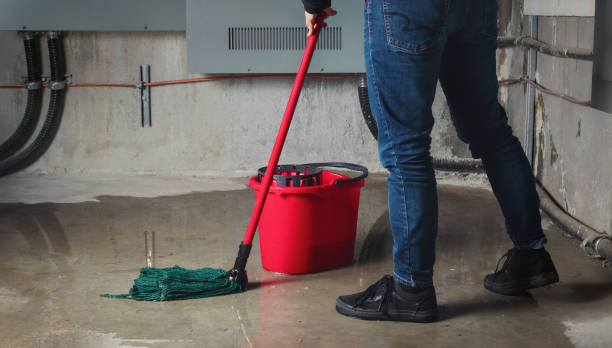 Best Ceiling water damage repair  in East Basin, UT