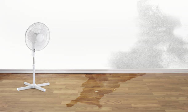 Best Flood damage cleanup  in East Basin, UT