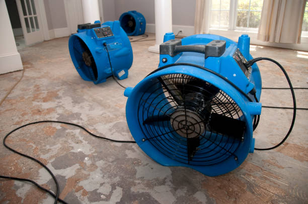Best 24-hour water damage restoration  in East Basin, UT