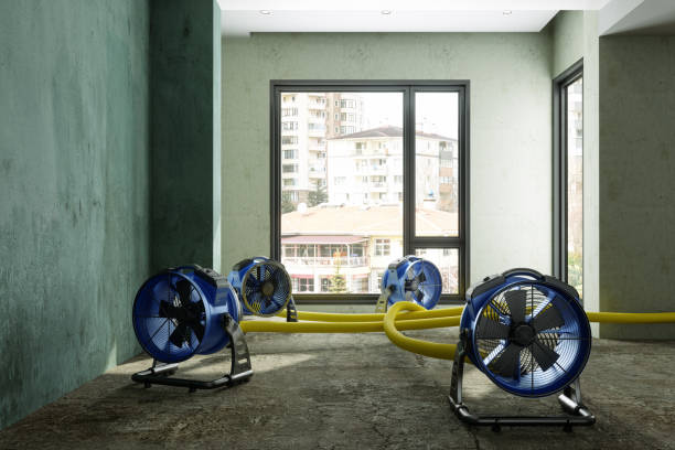 Best Mold removal after water damage  in East Basin, UT
