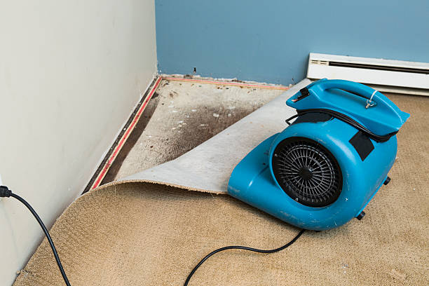 Best Water damage contractors near me  in East Basin, UT
